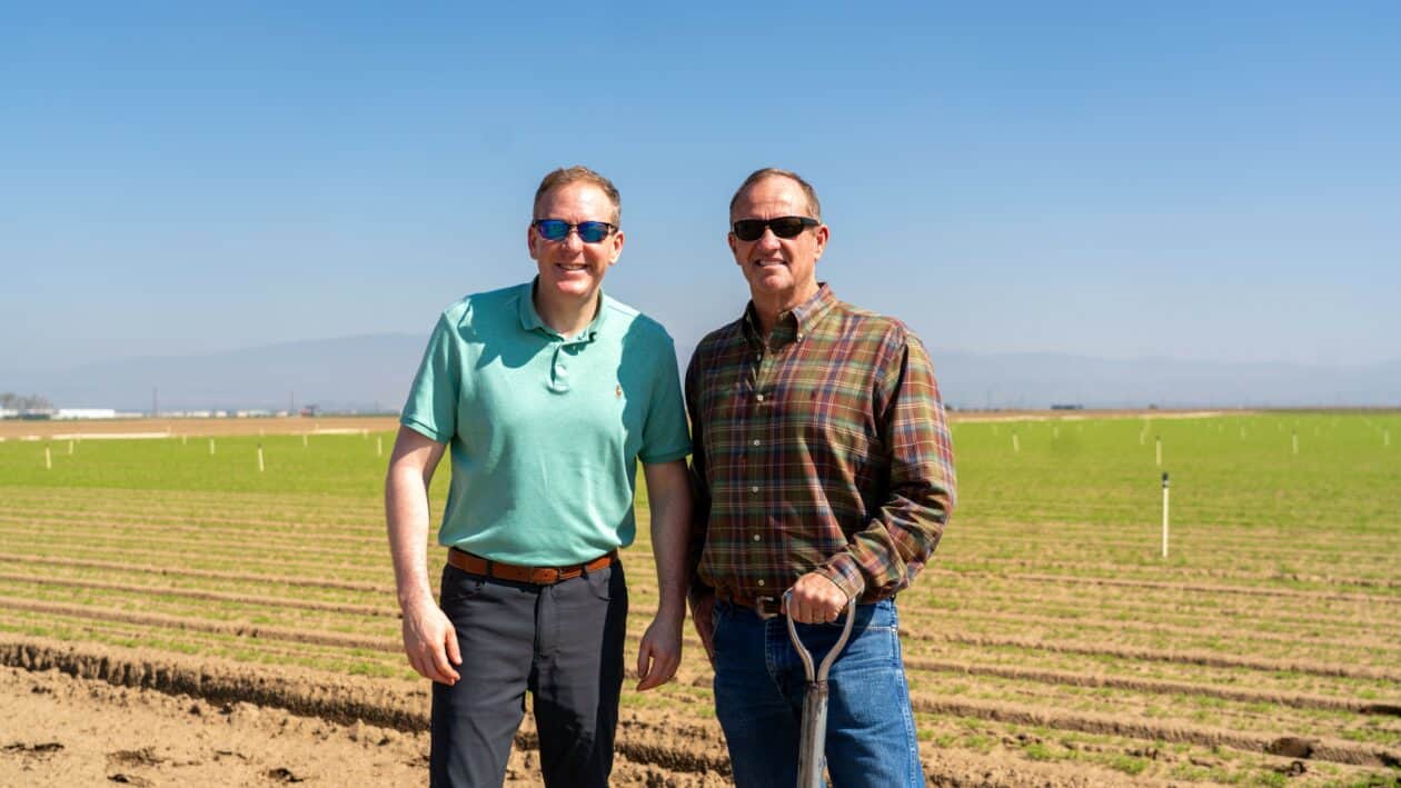 Two men standing in sunny farm field
