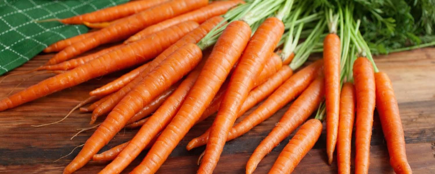 Fresh whole carrots with green tops on table